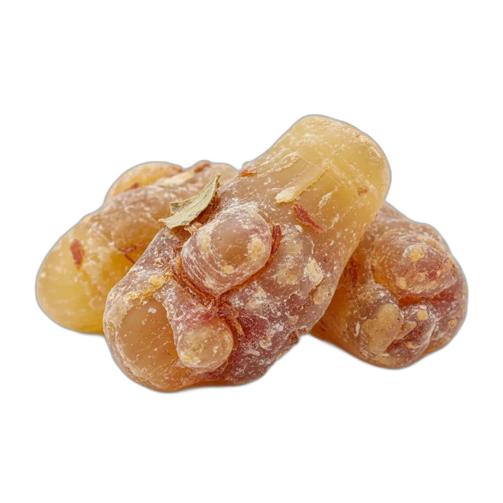 Boswellia serrata - παραδοσιακό βότανο για φυσική ισορροπία